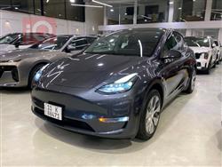 تسلا موديل Y